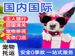 三女河航空运输国际宠物托运 【国